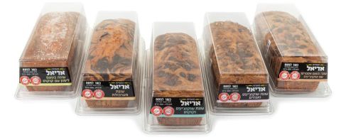 [צילום: דני גולן]