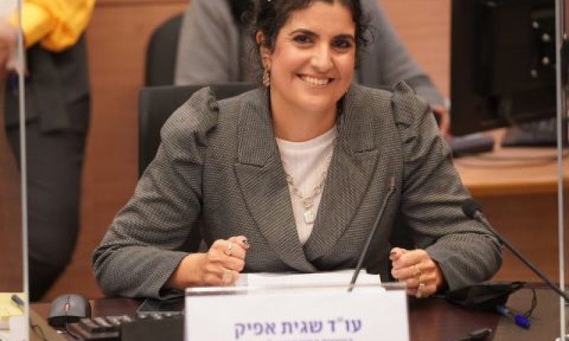 שגית אפיק [צילום: דני שם-טוב/דוברות הכנסת]