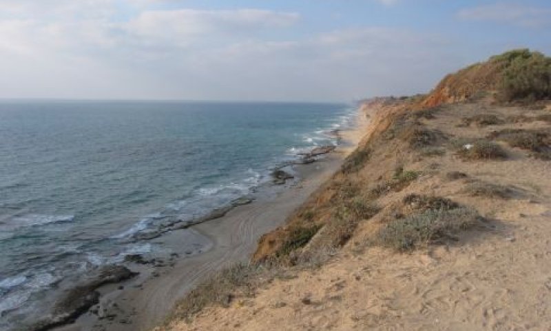 חוף השרון. עורך הדין הוליך בכחש