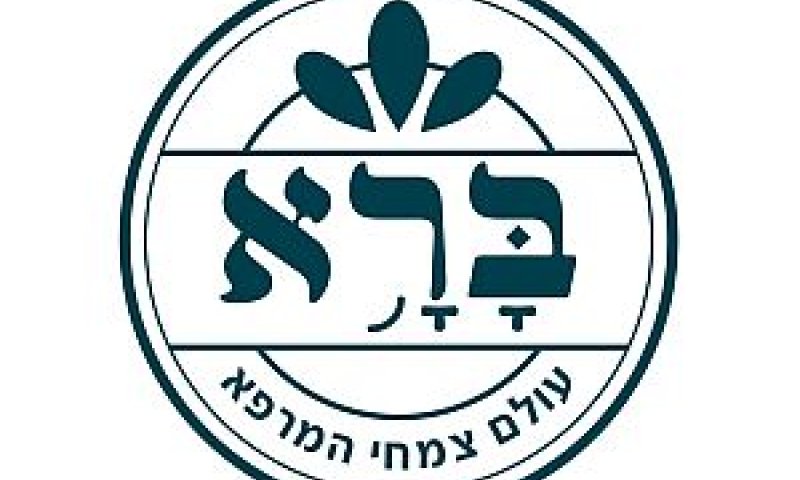 קבוצת ברא