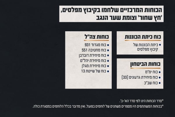 [צילום: דובר צה"ל]
