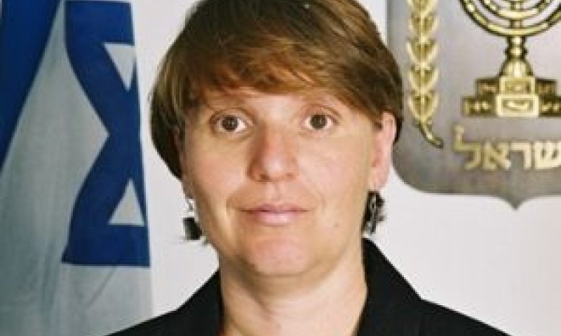 גליקסמן. בקשות התשה [צילום: בוצ'צ'ו]