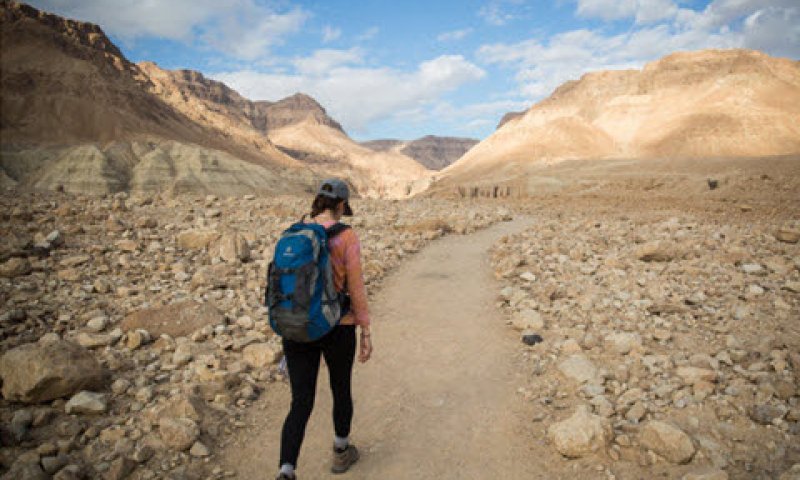 [צילום: הדס פרוש/פלאש 90]