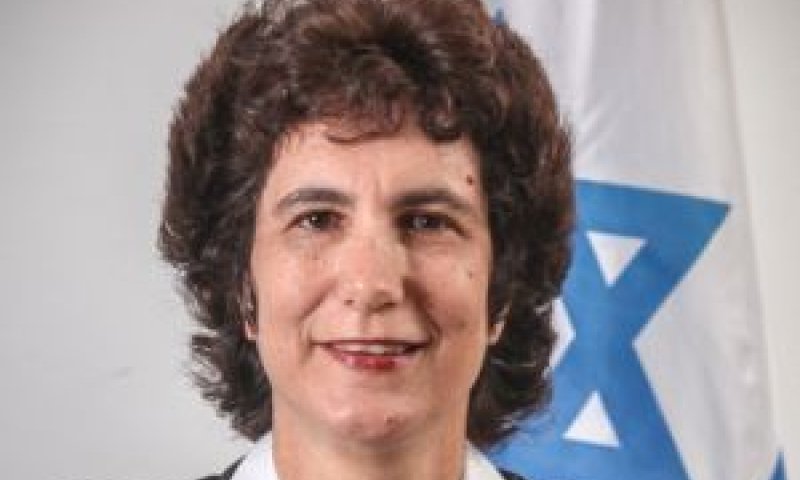ברק-ארז. גלגול שלישי [צילום: פלאש 90]