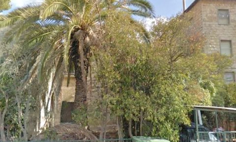 משרדי עמותת שוועת עניים [צילום: סטריט וויו]