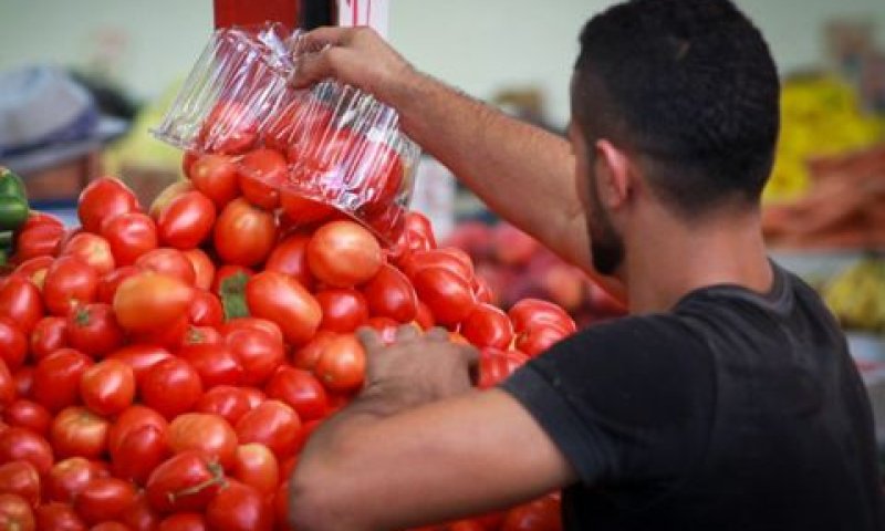 האם לעצירת הייבוא תהיה משמעות בעליית מחירים [צילום: פלאש 90]