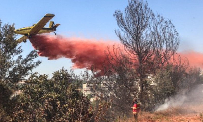 שריפה בירושלים. הכבאים יהיו עובדי מדינה [צילום: פלאש 90]