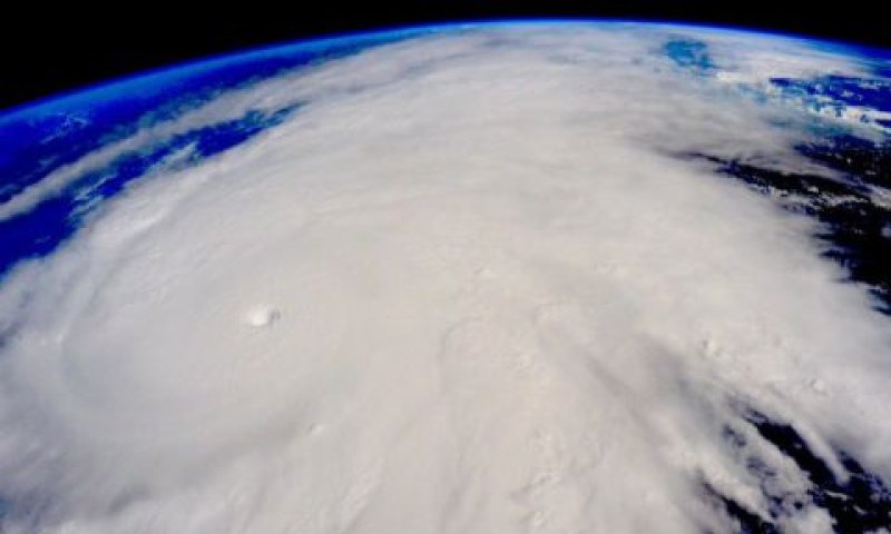 הוריקן פטרישיה [צילום: Scott Kelly/AP]