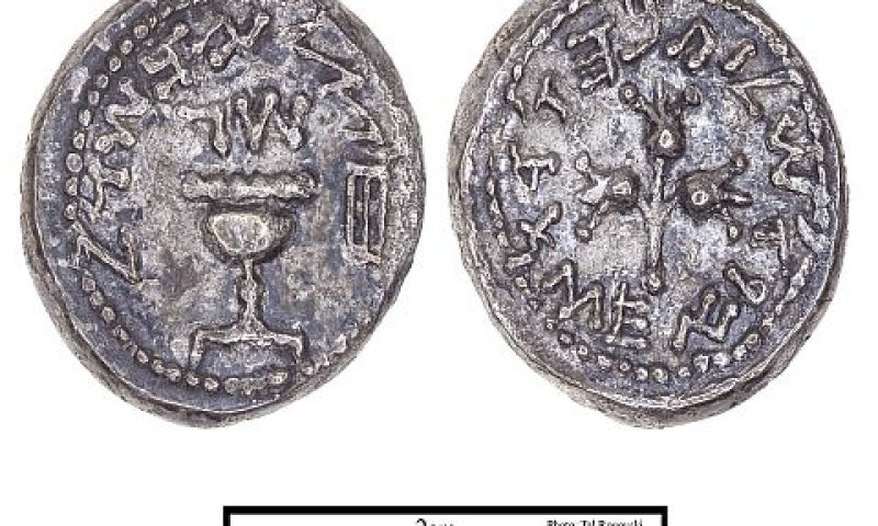 מטבע חצי השקל של השנה השלישית למרד הגדול [צילום: טל רוגובסקי]