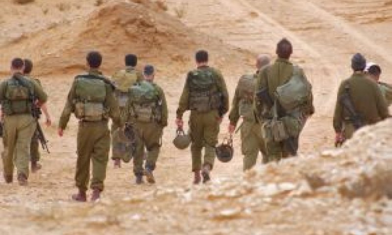 [צילום: דו"צ]