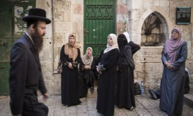 [צילום: הדס פרוש, פלאש 90]