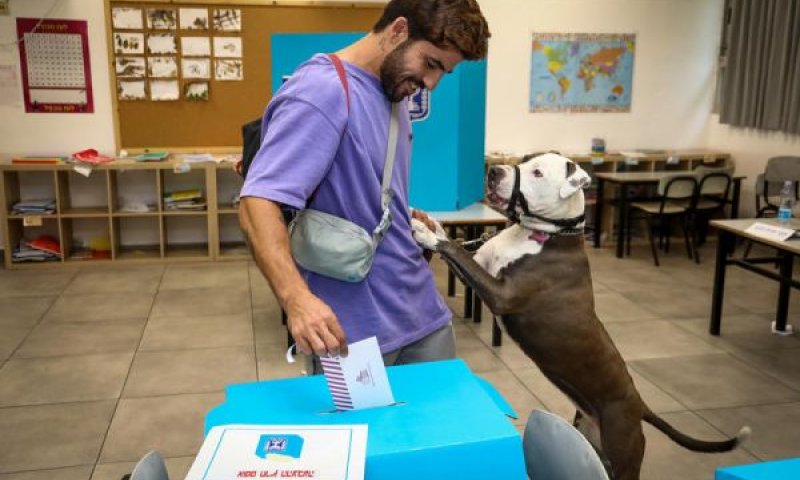 כלב השמירה של הפרטיות [צילום: גדעון מרקוביץ/פלאש 90]