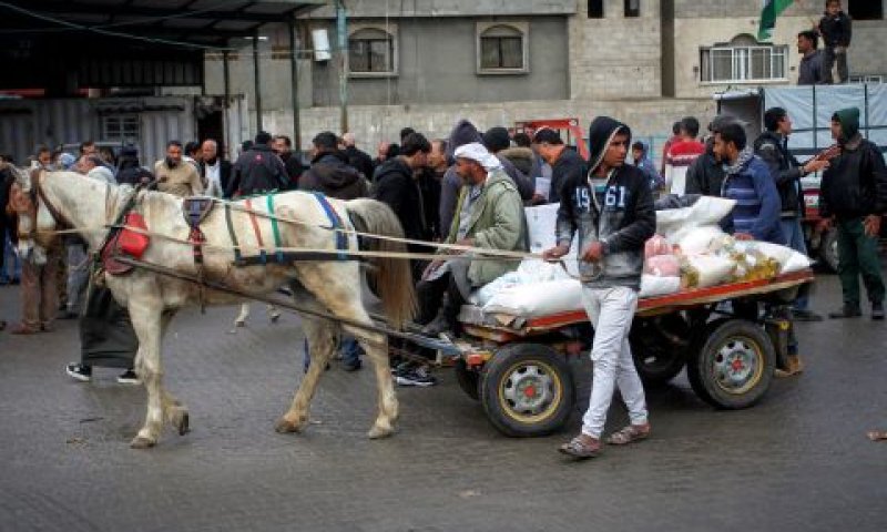 רצועת עזה. היום [צילום: עבד רחים חטיב/פלאש 90]