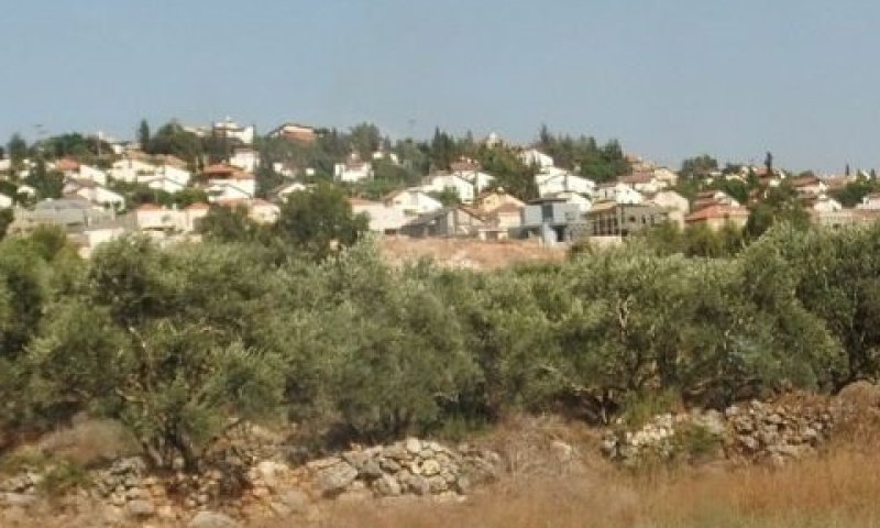 נכס בבית אריה