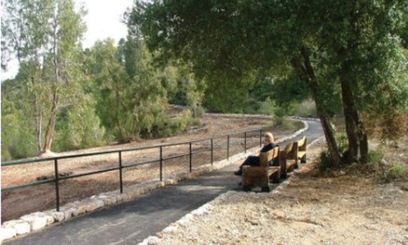 יער עצמאות ארה"ב [צילום: קק"ל]
