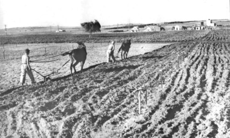 בצרה. שימוש חורג [צילום: ועד מקומי בצרה]