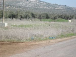 זירת ההסתערות [צילום: דו"צ]