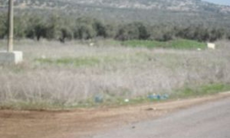 ניסיון פיגוע ירי ליד מבוא דותן [צילום: דו"צ]