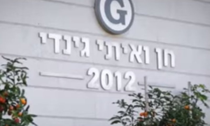 gindi.jpg