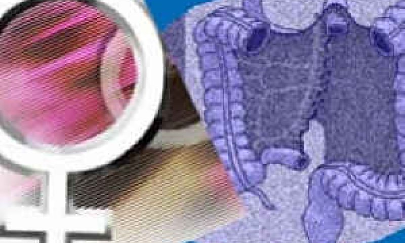 לוותר על בשר ומוצרי חלב? [צילום: AP]