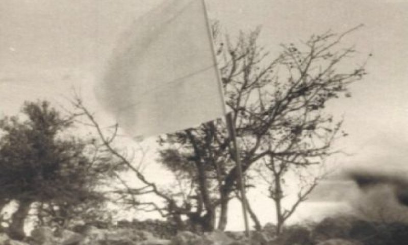 [צילום: הול לארס (לואיס) לארסון]