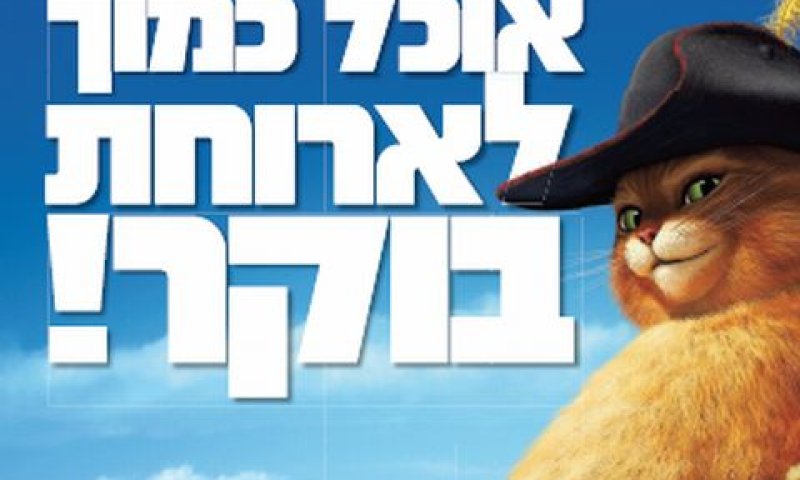 אחת הגלויות [צילום: יח"צ]
