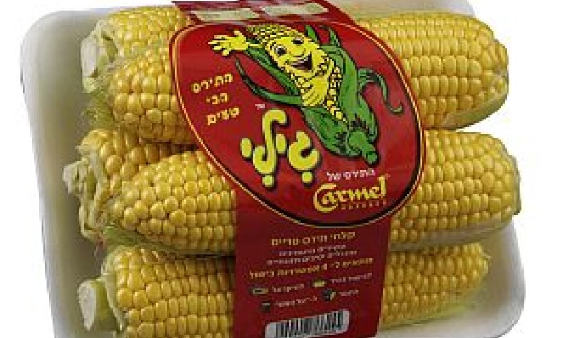 "היבול שייך לחקלאים" [צילום: יח"צ]
