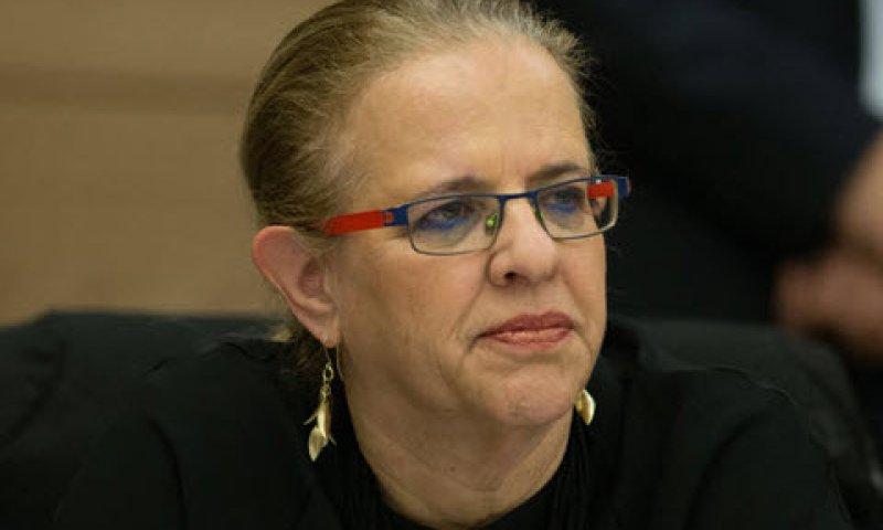 גרסטל. מגשרת [צילום: יונתן זינדל, פלאש 90]