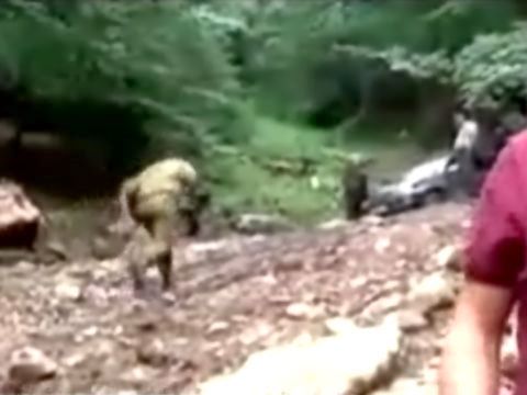 זירת האסון [צילום: הטלוויזיה הרומנית]