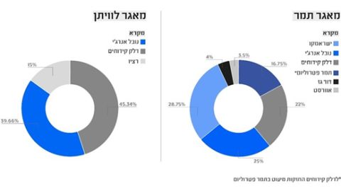 מבנה ההחזקות בתמר ולוויתן