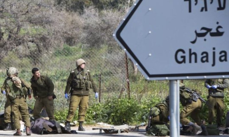 כוחות צה"ל בהר דב [צילום: פלאש 90]