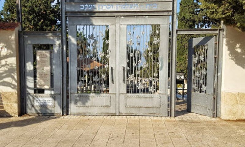 [צילום: אלי אלון]