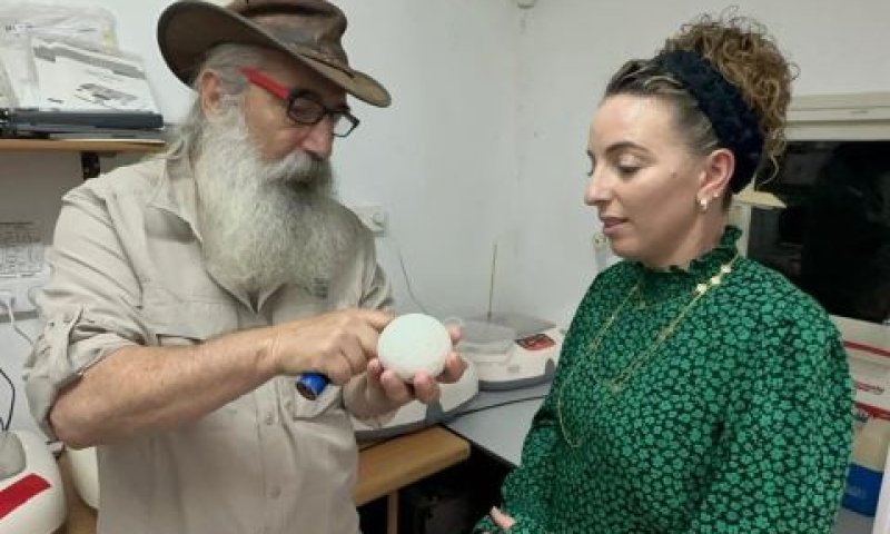 סילמן. מקבלת הסברים [צילום: רשות הטבע והגנים]