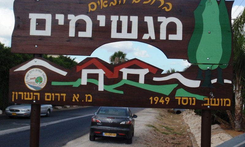 [צילום: אריאל פלמון]