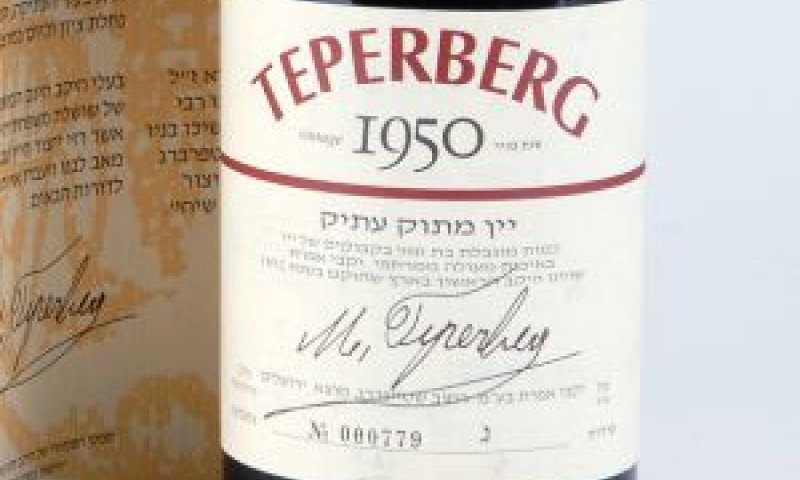 [צילום: יח"צ]