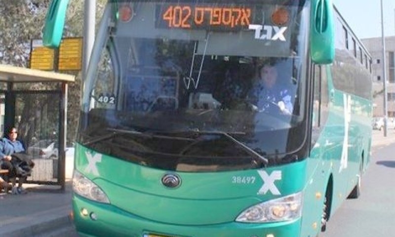 קו 402. שיעור חריגות עצום [צילום: אגד02]