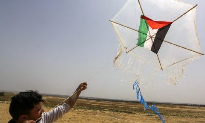 עפיפון תבערה מופרח לשטחנו [צילום: עבד רחים חטיב/פלאש 90]