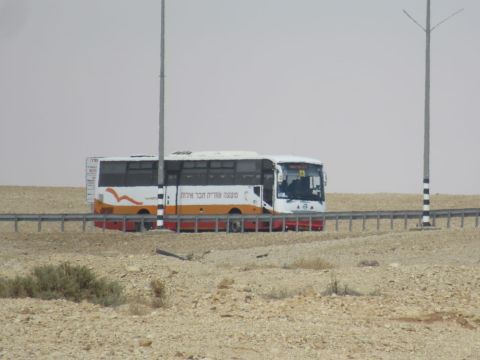 אילות. צניחה [צילום: יאיר בן צבי]