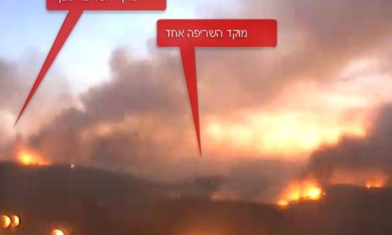 שריפה בכרמל.jpg
