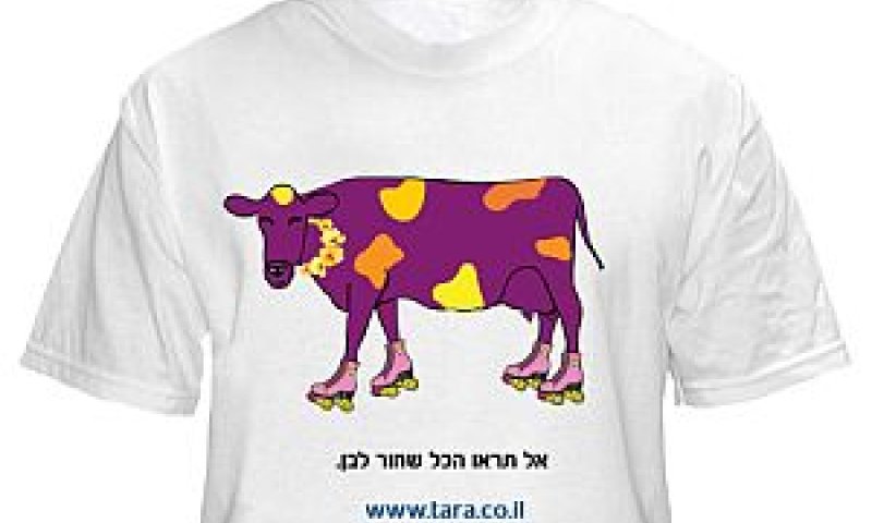 [צילום: יח"צ]