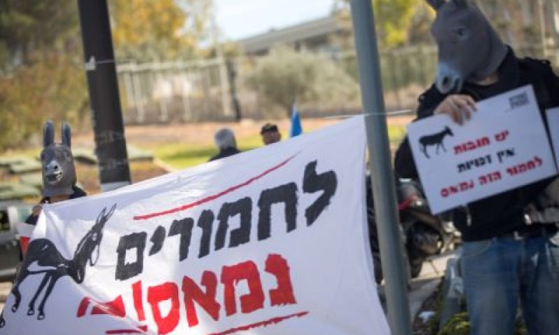 הפגנות הצמאים לקבלת סיוע מהמדינה [צילום: יונתן זינדל/פלאש 90]