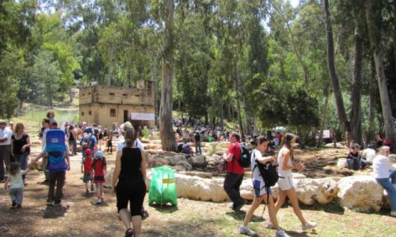 נחל בצת. אין מספיק מים לטבע [צילום: החברה להגנת הטבע]