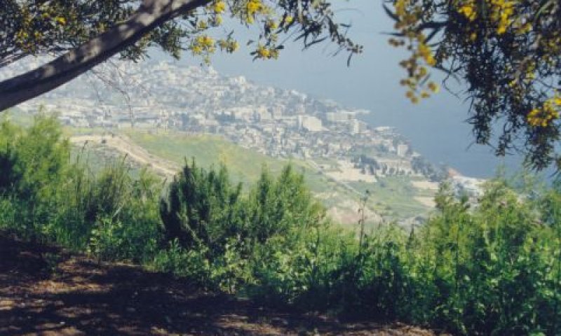 [צילום אילוסטרציה]