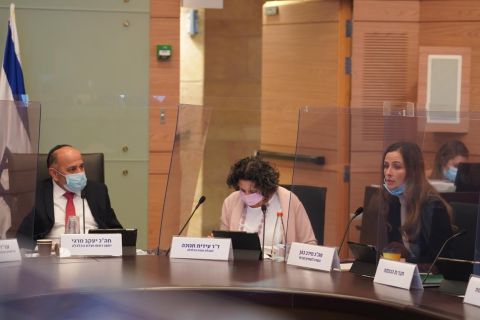 השרה כהן, מנהלת הוועדה והיו"ר מרגי [שמוליק גרוסמן]