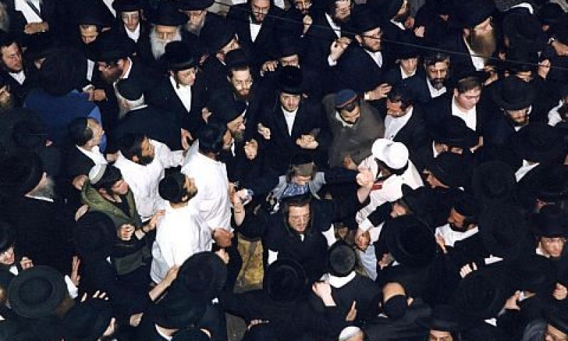 [צילום: יח"צ]