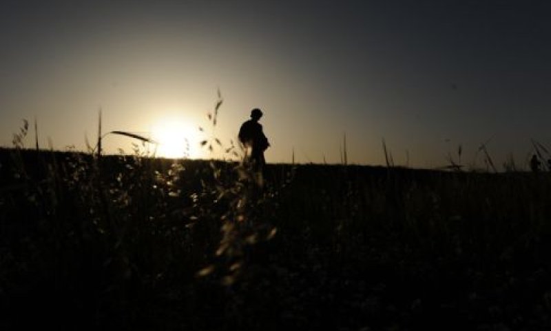 "פעולה מובהקת" [צילום: פלאש 90]