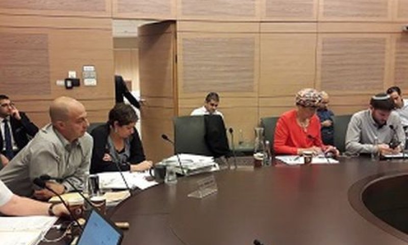 הדיון בוועדת חוקה [צילום: דוברות הכנסת]