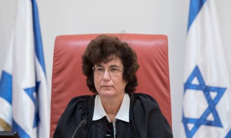 ברק-ארז. השפעה כירורגית [צילום: אוליביה פיטוסי, פלאש 90]