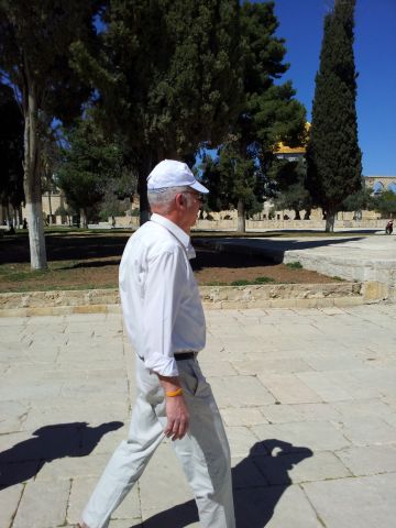 [צילום: ארנון סגל]