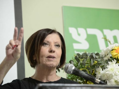 גלאון. היעדר מדיניות הביא את דאעש [צילום: פלאש 90]